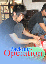 Ornamental fish